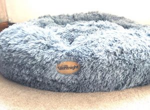Our Dogs Tried These Silentnight Pet Beds & This Is What We Learned