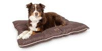 Best Outdoor Dog Beds: Canopy, Mat, Heated, Cooling & More