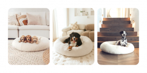 The benefits of a Boucle Dog Bed