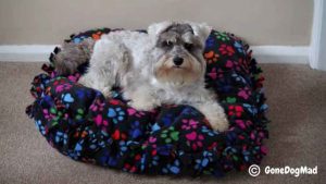 How to make a DIY dog bed – no sewing required