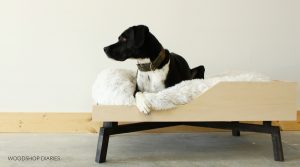DIY Elevated Dog Bed