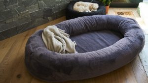 Human Dog Bed - Everything You Need to Know Before You Buy