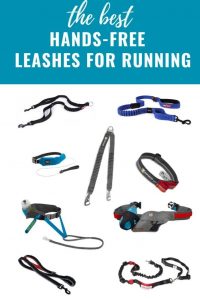 The Best Hands Free Dog Leashes for Running 2023