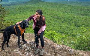 How to Start Hiking with Your Dog; Best Leash, Harness, & Advice!