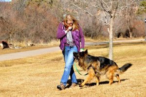 Dog Leash Laws By State: Where Do I Need To Keep My Dog On A Leash