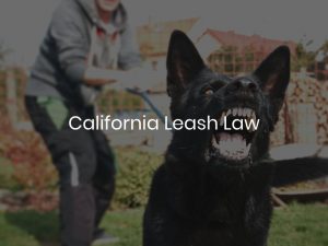 California Leash Law