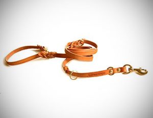 Unchewable Leash – The Toughest Leashes Out There!