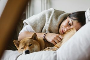 Dog Sleeping In Bed? The Perks, The Pros & The Perils