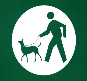 Dog leash laws and penalties in Nevada