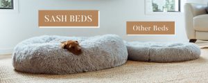 How a Calming Dog Bed Works
