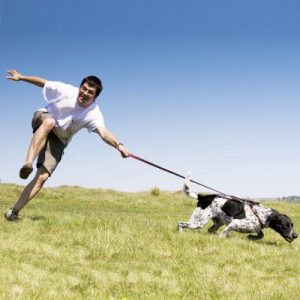 Could Pulling on the Leash Hurt Your Dog?