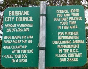 Let Your Dogs Run Free at Off-Leash Dog Parks in Centenary