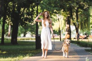 The Guide To Leash Training A Puppy Or Dog