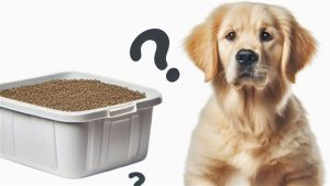 Can a Dog Use a Litter Box? Understanding Cross-Species Potty Training