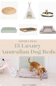 13 Luxury Dog Beds in Australia for Pampered Pooches