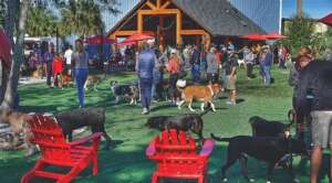 Jacksonville’s Best Off Leash Dog Parks