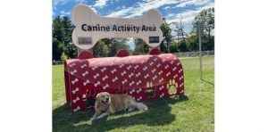 “A playground for dogs”: Pickering’s Dunmoore Park a destination for pups