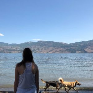Dog Friendly Beaches and Parks in West Kelowna