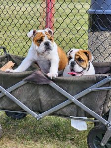 New off-leash dog park open in East St. Paul