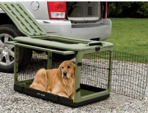 Car Travel without Dog Crates: What Could Possibly Go Wrong?
