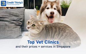 11 Vet Clinics For Your Fur Babies & Their Prices In Singapore