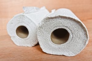 My Dog Ate Paper Towel! Here’s What to Do (Vet Answer)