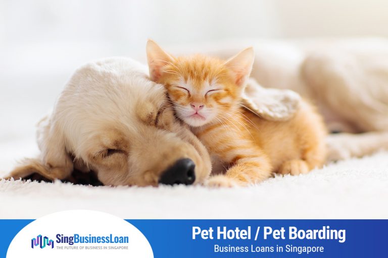 Pet Hotel / Pet Boarding Business Loans