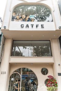 CATFE, Saigon: Cat Cafe With A Snack Buffet And Unlimited Drink Refills For Just VND89,000