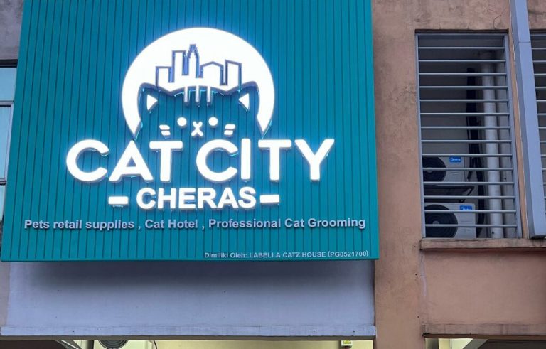 10 Best Cat Grooming Salons in Klang Valley (Dog-free)