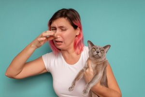 Why Does My Cat Smell Like Rotten Eggs? Our Vet Explains Possible Reasons & Solutions