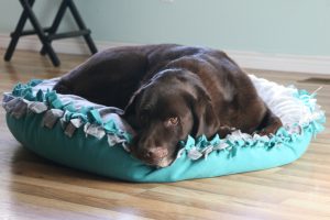 HOW TO MAKE A DIY NO SEW DOG BED