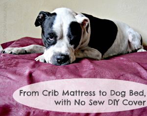 From Crib Mattress to Dog Bed, with No Sew DIY Cover
