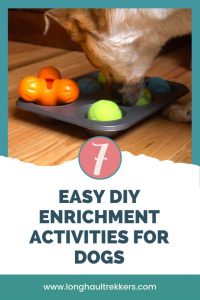 7 Easy DIY Enrichment Activities For Dogs