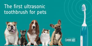 Ultrasonic Teeth Cleaning for Dogs at Doghouse