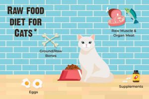 Should You Feed Your Cat a Raw Diet? 11 Questions to Ask First