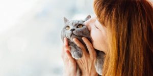 Do Cats Like and Understand Kisses?