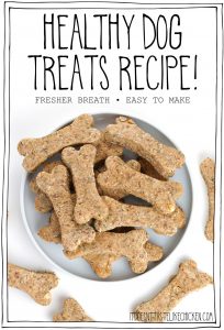 Healthy Dog Treats Recipe!