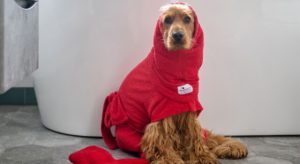 Want to get ahead on the dog drying front? Then get a dog Snood!