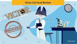 Victor Cat Food Review
